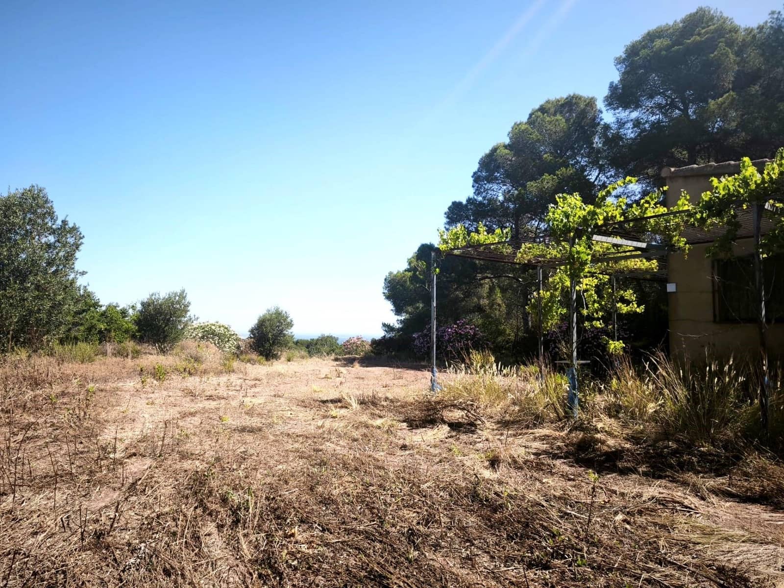 Finca/Country House for sale in Llosa de Ranes - € 59,000 (Ref: 9975526)