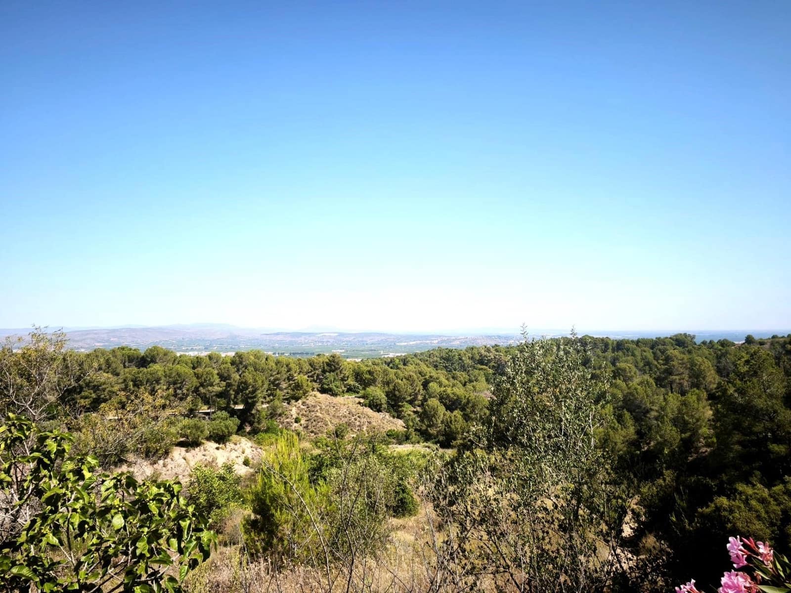 Finca/Country House for sale in Llosa de Ranes - € 59,000 (Ref: 9975526)
