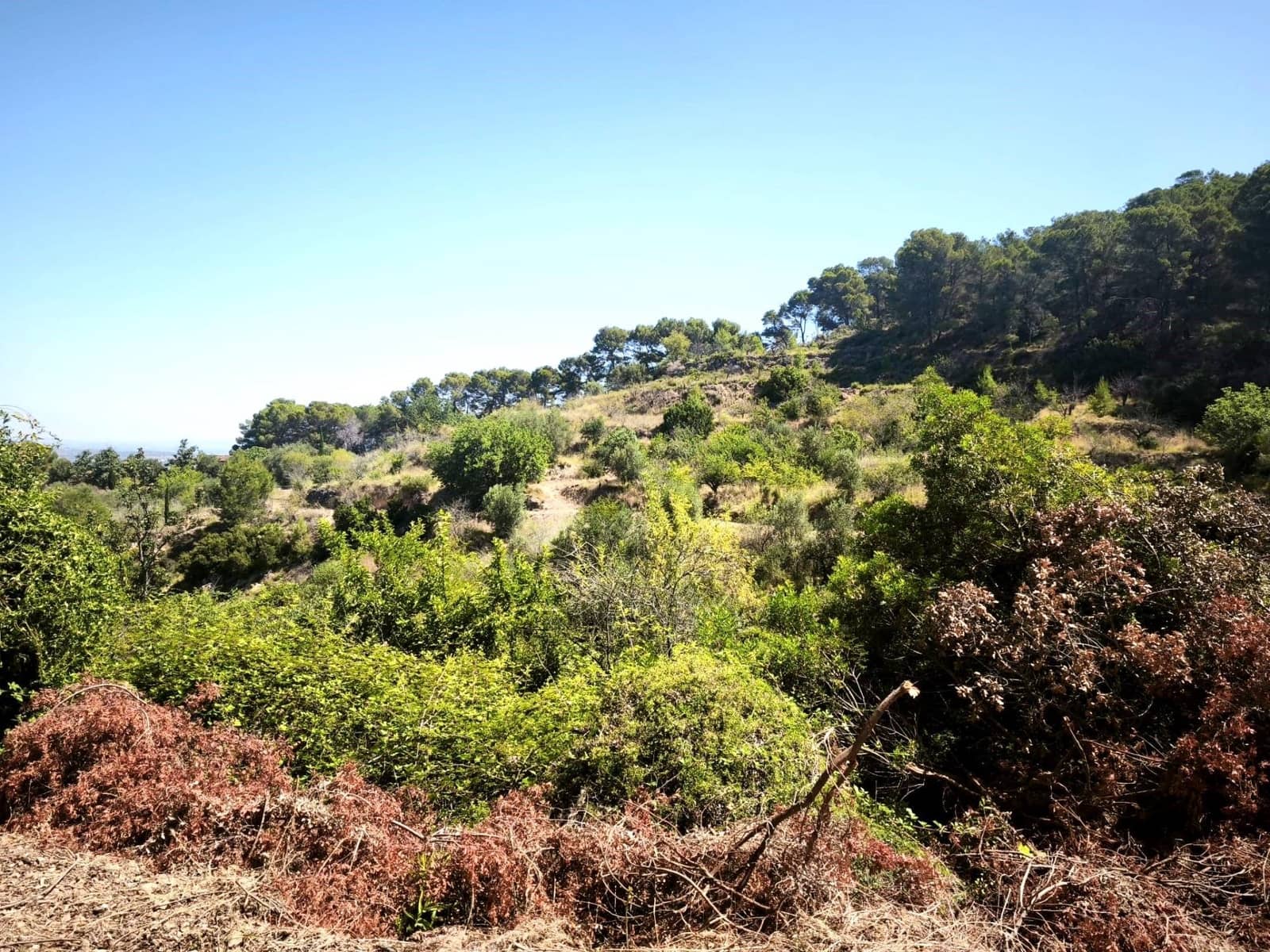 Finca/Country House for sale in Llosa de Ranes - € 59,000 (Ref: 9975526)