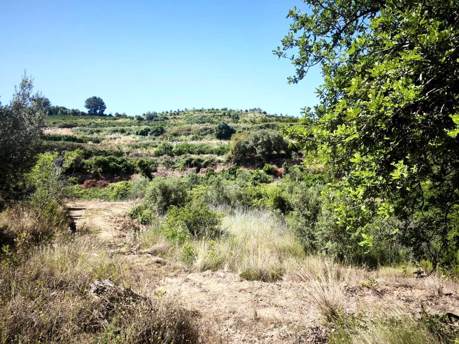 Finca/Country House for sale in Llosa de Ranes - € 59,000 (Ref: 9975526)