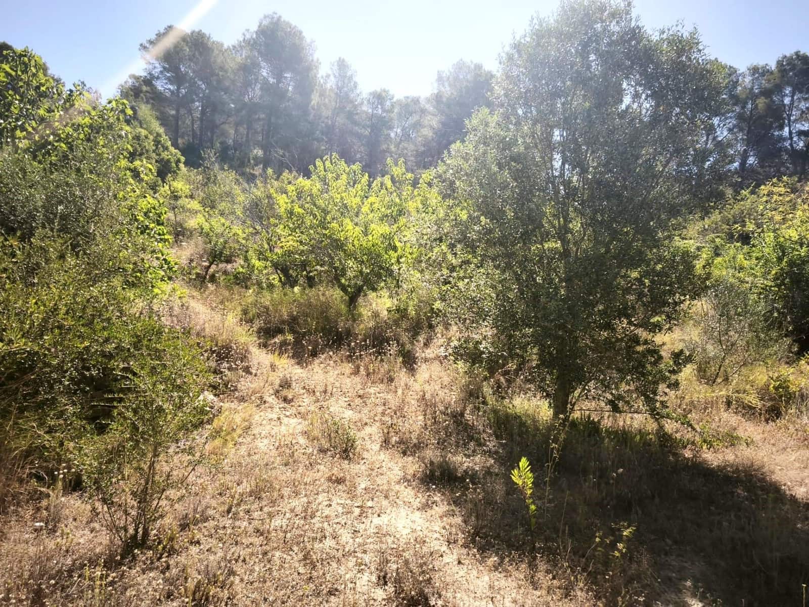 Finca/Country House for sale in Llosa de Ranes - € 59,000 (Ref: 9975526)