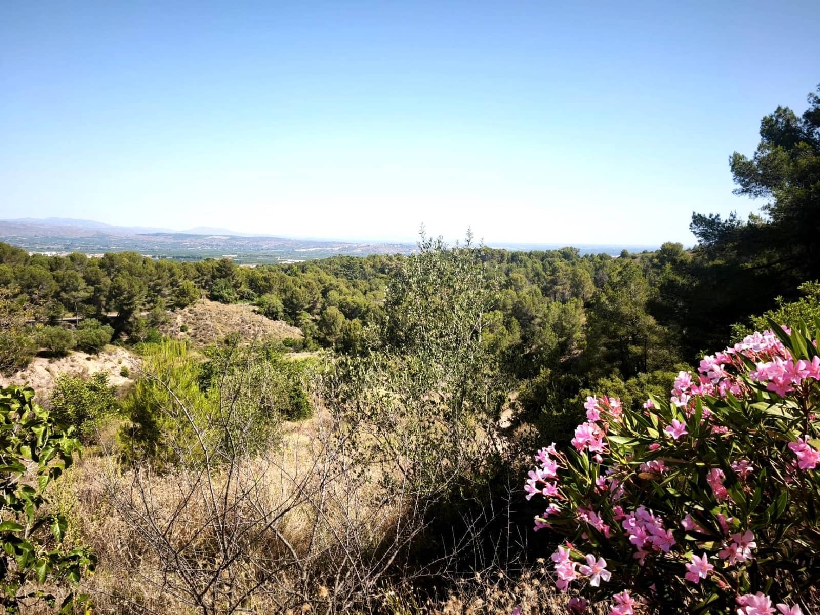 Finca/Country House for sale in Llosa de Ranes - € 59,000 (Ref: 9975526)