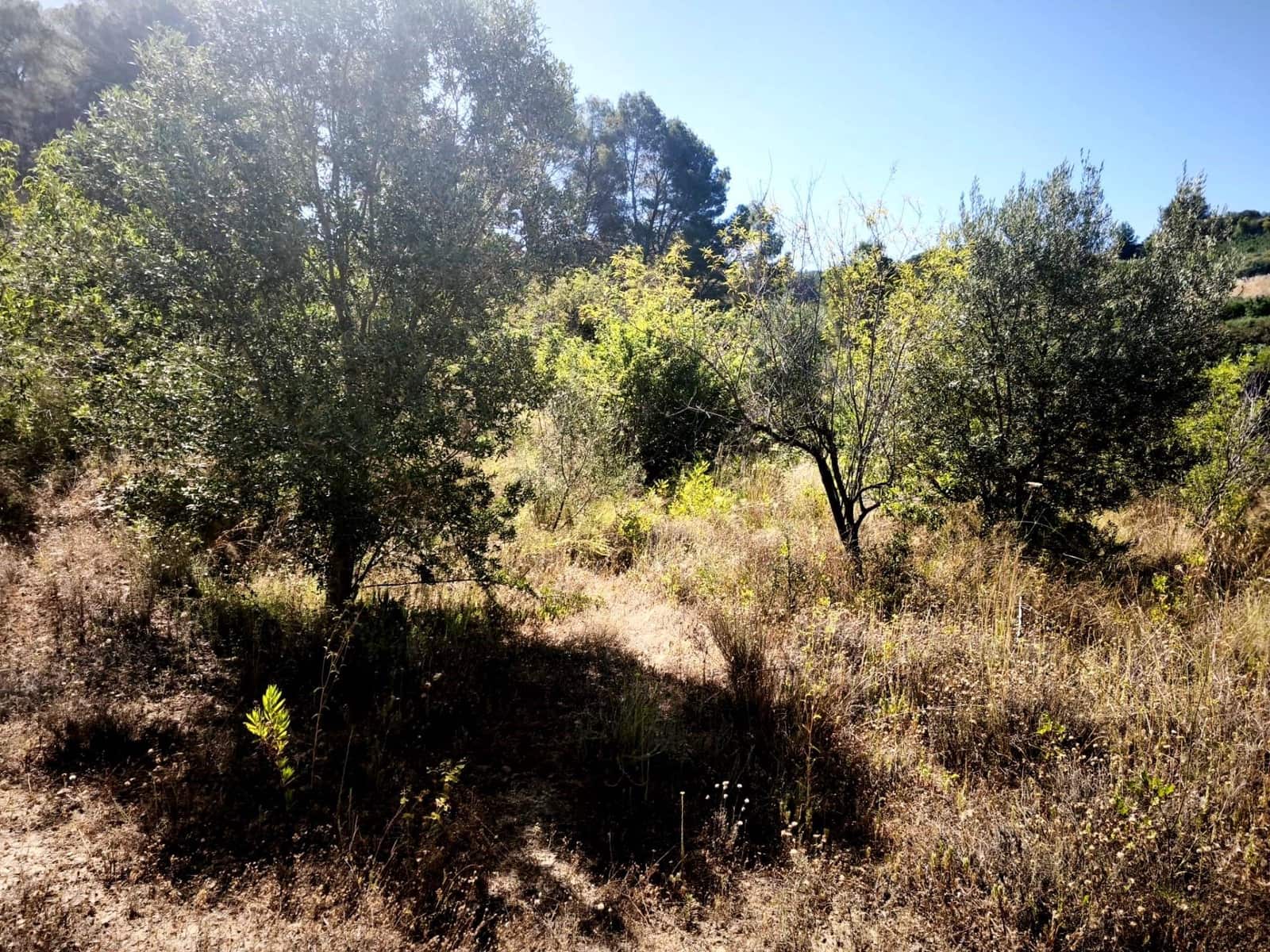 Finca/Country House for sale in Llosa de Ranes - € 59,000 (Ref: 9975526)