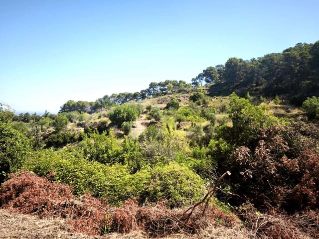 Finca/Landehus til salg i Llosa de Ranes - € 59.000 (Ref: 9975526)