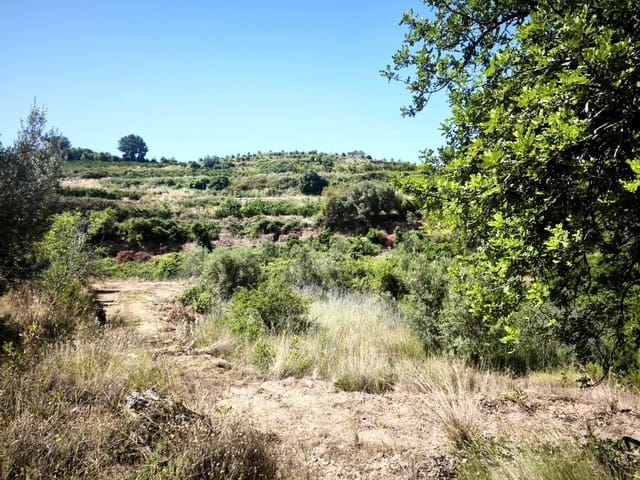 Finca/Landehus til salg i Llosa de Ranes - € 59.000 (Ref: 9975526)