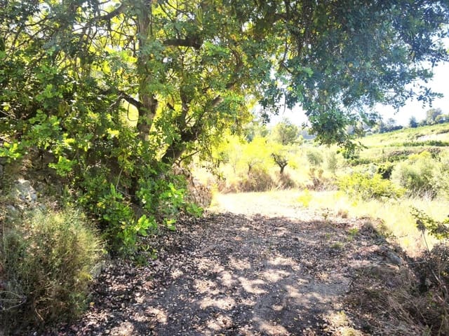 Finca/Landehus til salg i Llosa de Ranes - € 59.000 (Ref: 9975526)