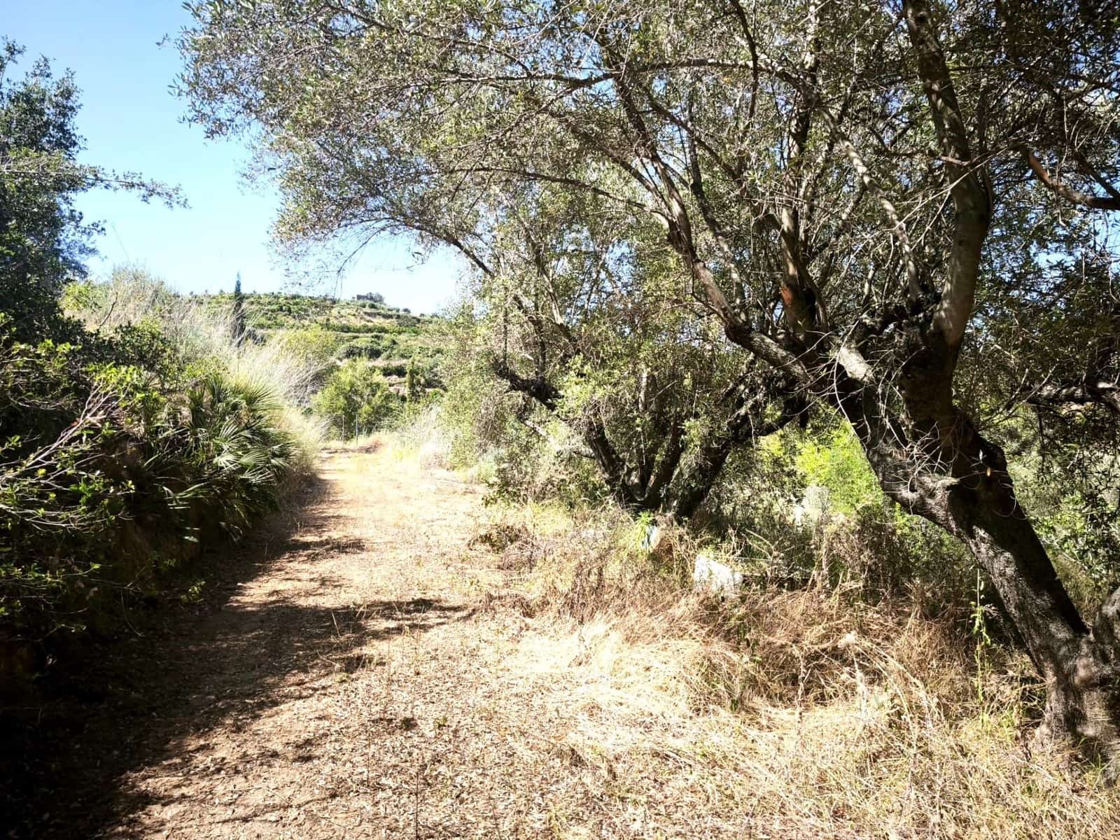 Finca/Country House for sale in Llosa de Ranes - € 59,000 (Ref: 9975526)