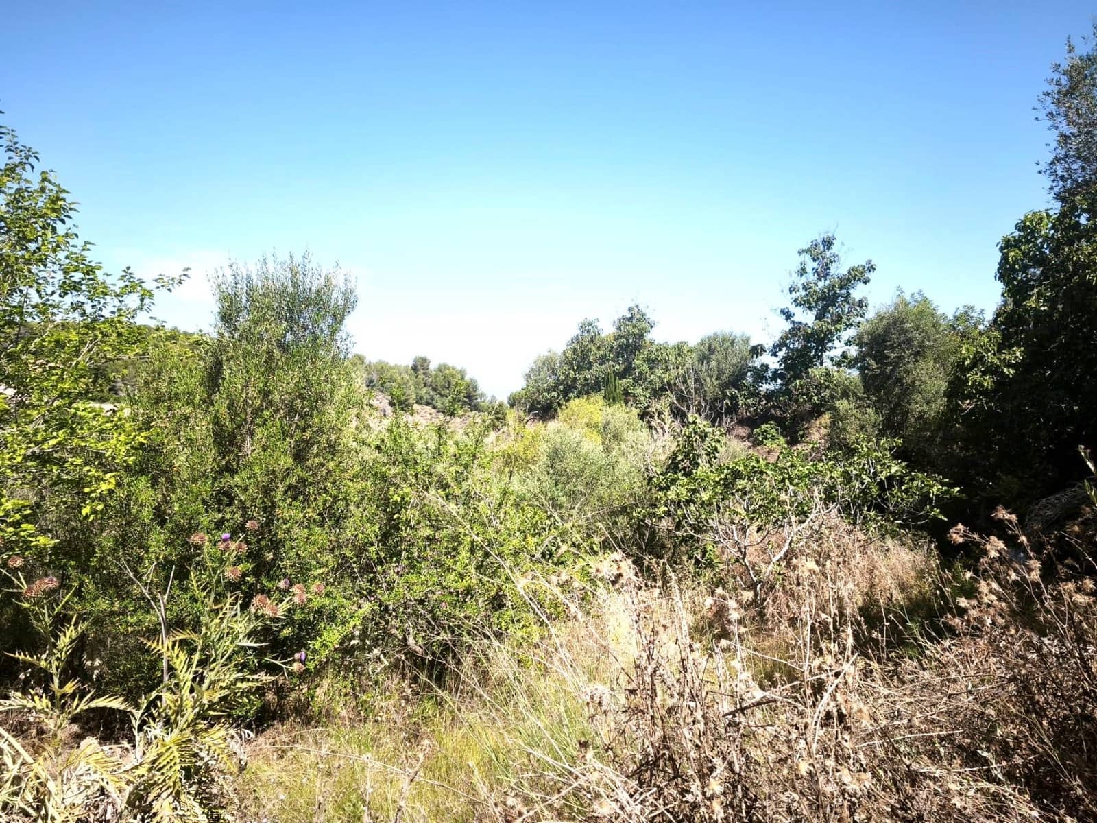 Finca/Country House for sale in Llosa de Ranes - € 59,000 (Ref: 9975526)