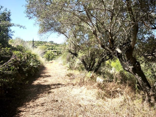 Finca/Landehus til salg i Llosa de Ranes - € 59.000 (Ref: 9975526)