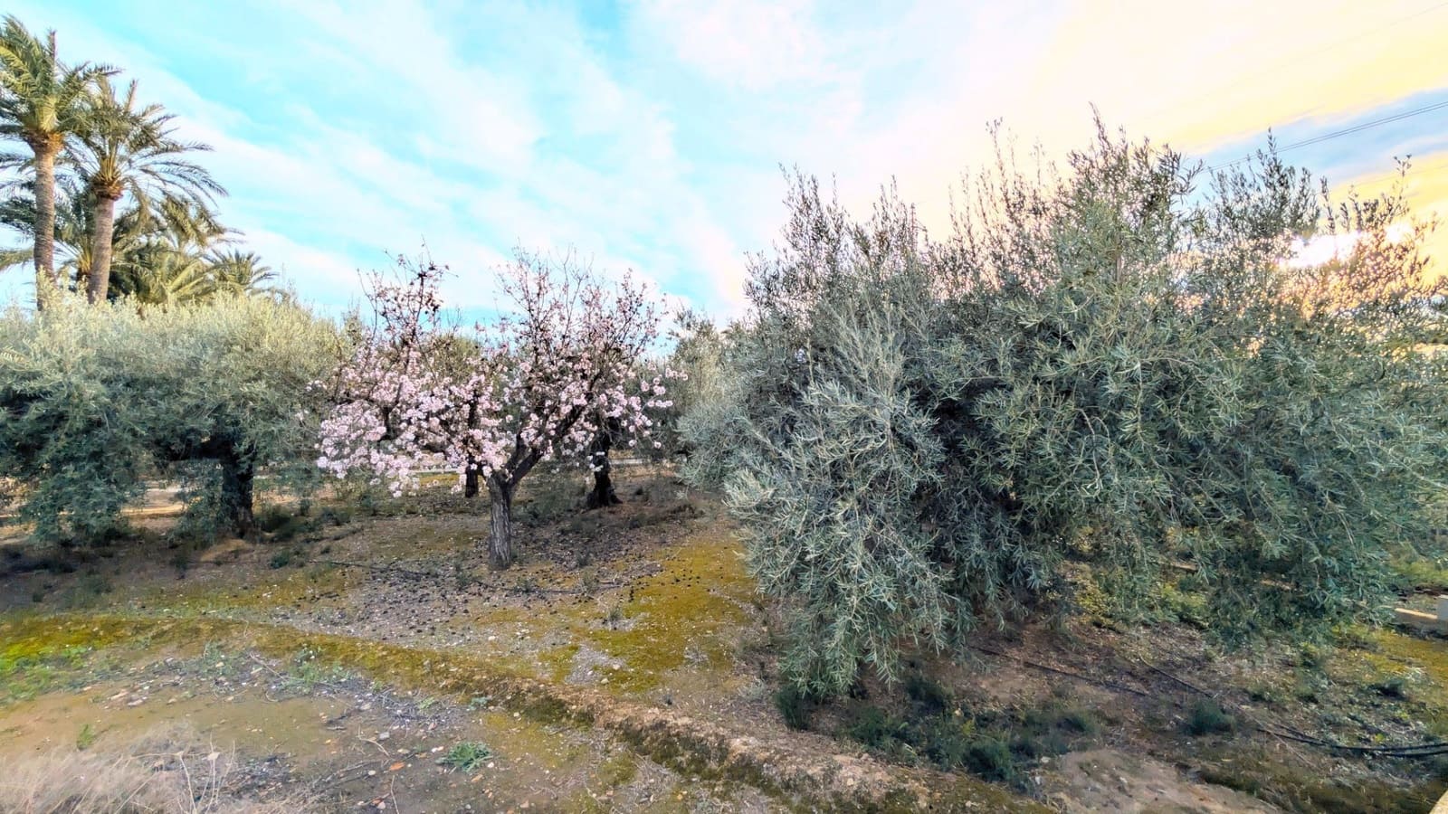 6 camera da letto Villa in vendita in Perleta con piscina garage - 475.000 € (Rif: 9677983)