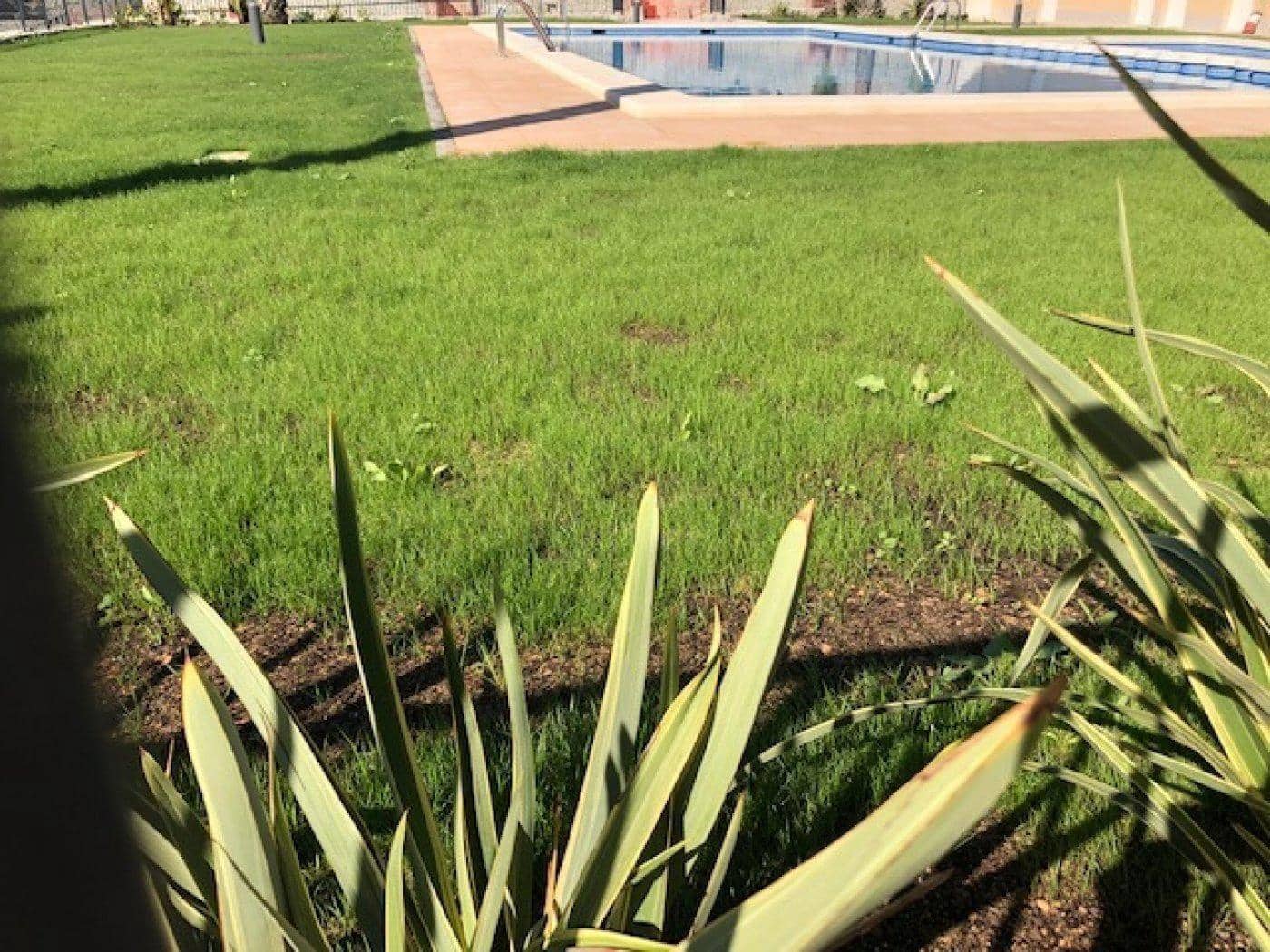 2 slaapkamer Flat te koop in Elche / Elx met zwembad garage - € 225.000 (Ref: 9677987)