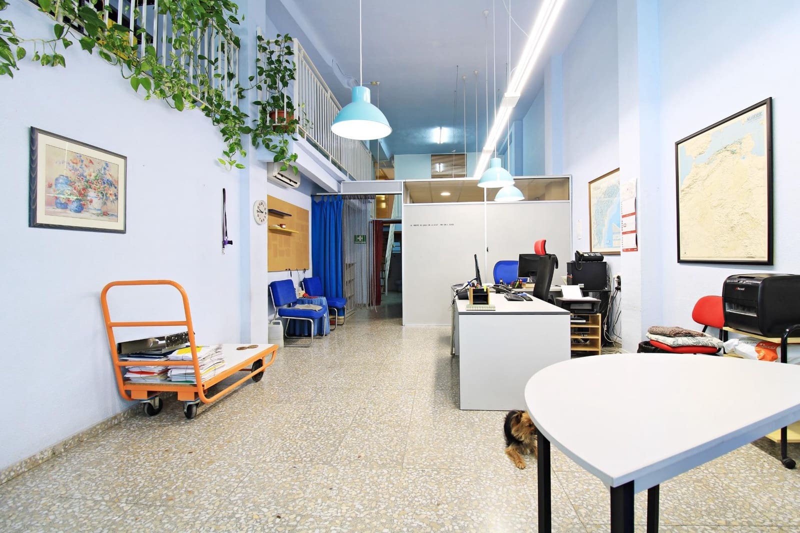 Local Comercial en Elche / Elx en alquiler - 550 € (Ref: 9677990)