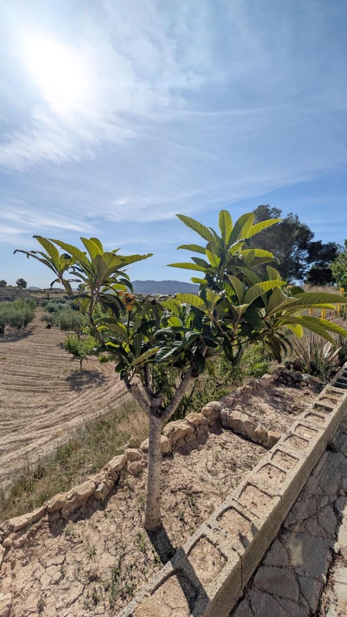 3 bedroom Cave House for sale in Hondon de las Nieves - € 400,000 (Ref: 9679851)