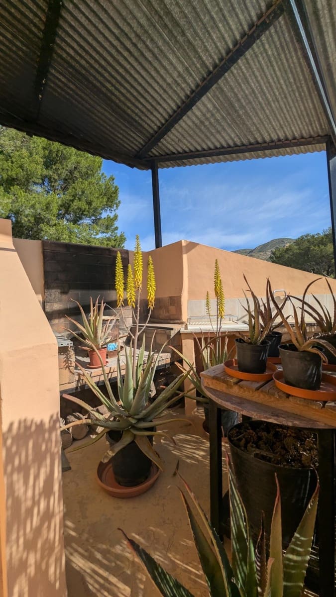 3 bedroom Cave House for sale in Hondon de las Nieves - € 400,000 (Ref: 9679851)