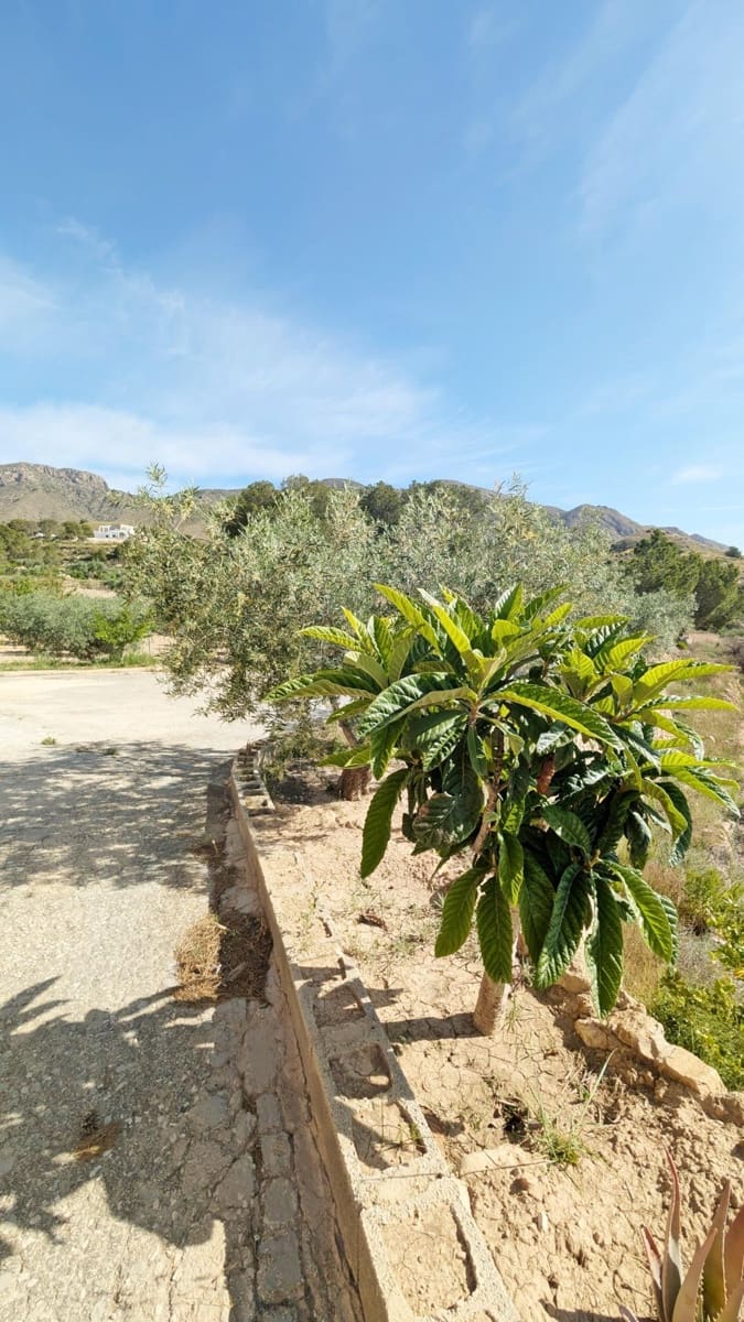 3 bedroom Cave House for sale in Hondon de las Nieves - € 400,000 (Ref: 9679851)