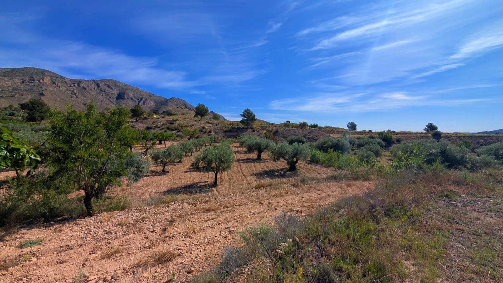 3 bedroom Cave House for sale in Hondon de las Nieves - € 400,000 (Ref: 9679851)