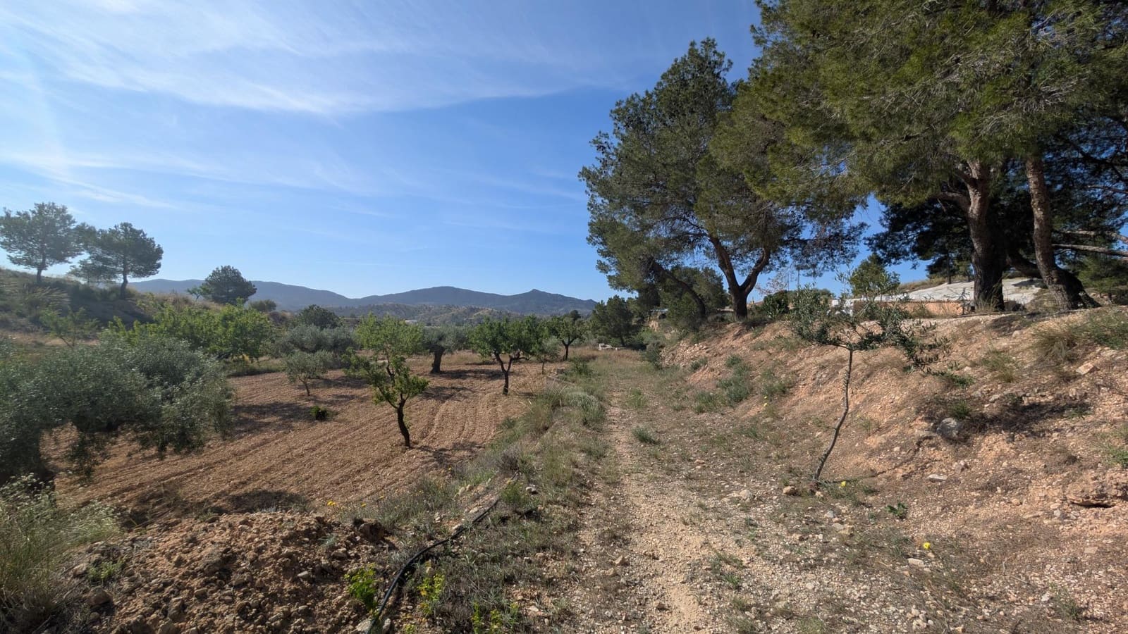 3 bedroom Cave House for sale in Hondon de las Nieves - € 400,000 (Ref: 9679851)