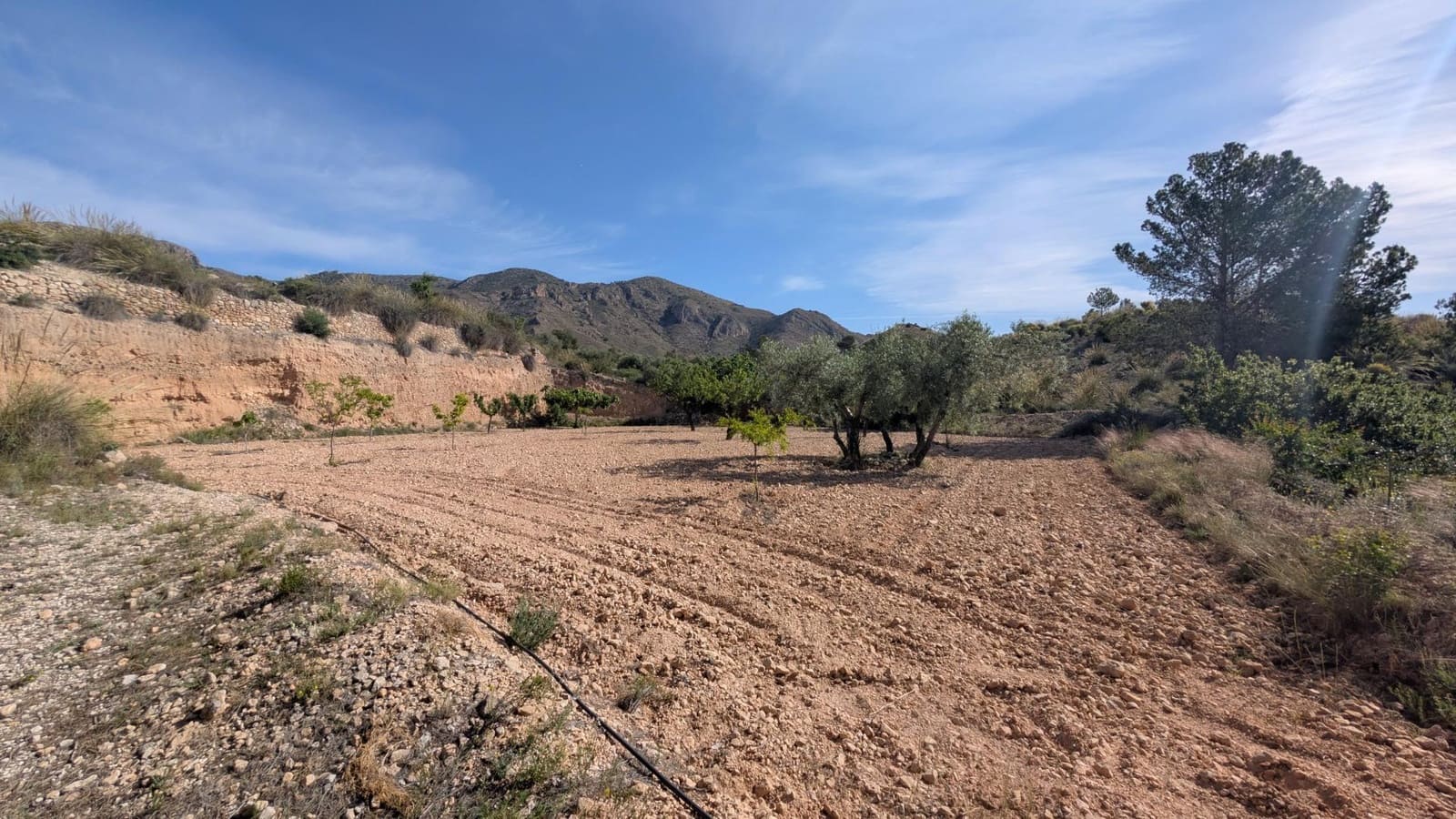 3 bedroom Cave House for sale in Hondon de las Nieves - € 400,000 (Ref: 9679851)