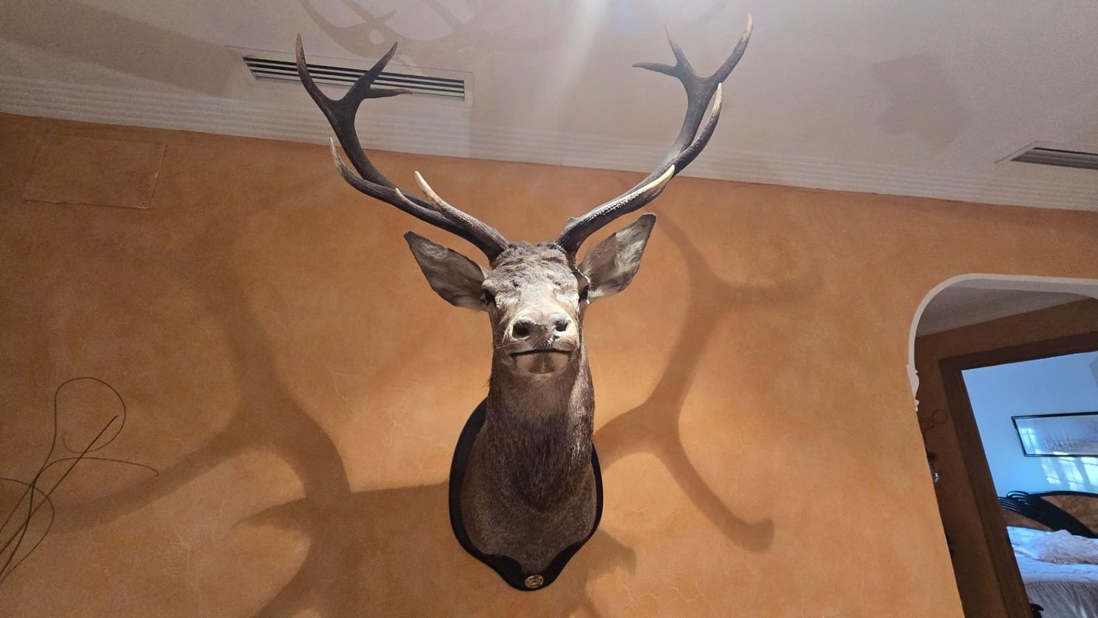 Chalet de 3 habitaciones en Elche / Elx en venta con piscina - 339.000 € (Ref: 9679855)