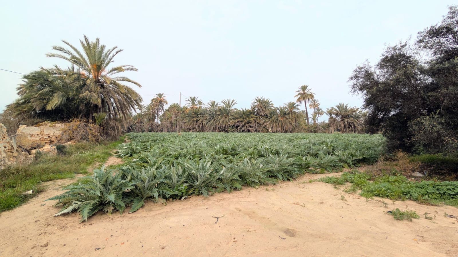 5 sypialnia Finka/Dom wiejski na sprzedaż w Matola z garażem - 350 000 € (Ref: 9679856)