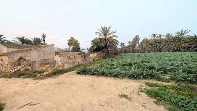 5 sypialnia Finka/Dom wiejski na sprzedaż w Matola, Elche / Elx z garażem - 350 000 € (Ref: 9679856)