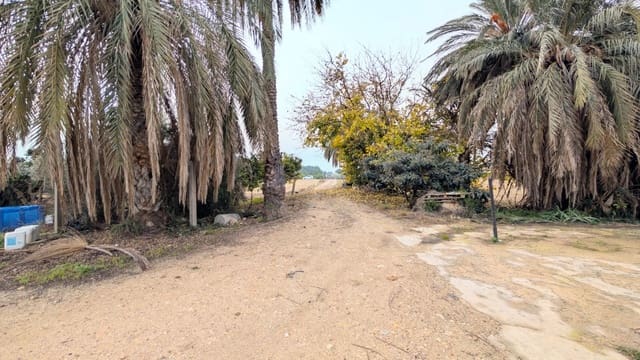 5 sypialnia Finka/Dom wiejski na sprzedaż w Matola, Elche / Elx z garażem - 350 000 € (Ref: 9679856)