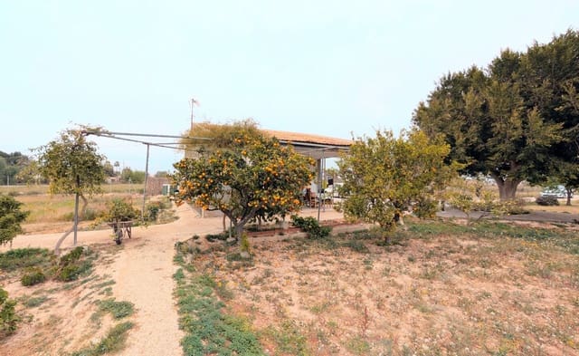 3 Zimmer Villa zu verkaufen in Valverde, Elche / Elx mit Pool - 225.000 € (Ref: 9701624)