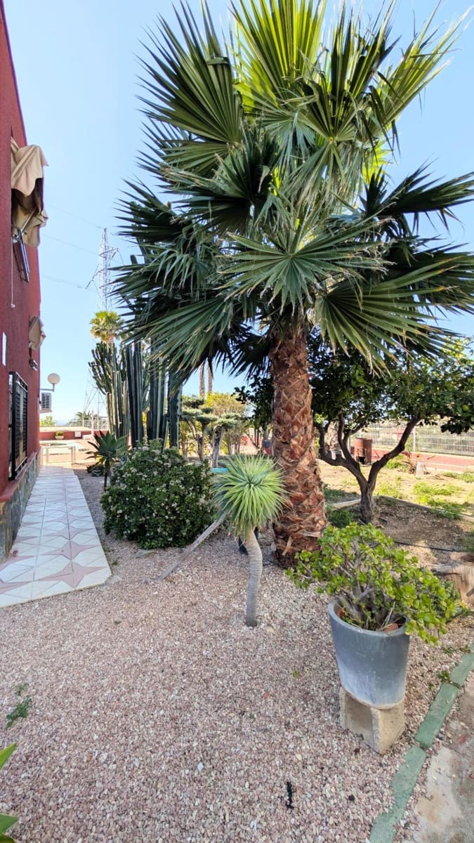 Chalet de 5 habitaciones en Elche / Elx en venta con piscina garaje - 455.000 € (Ref: 9701625)