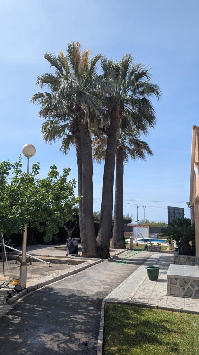 4 camera da letto Villa in vendita in Santa Pola con piscina garage - 545.000 € (Rif: 9794633)