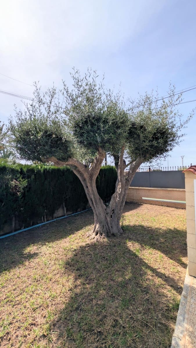 4 camera da letto Villa in vendita in Santa Pola con piscina garage - 545.000 € (Rif: 9794633)