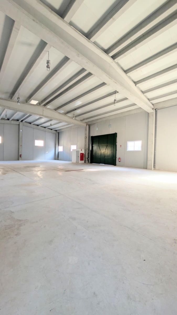 Business for sale in Crevillente / Crevillent with garage - € 546,000 (Ref: 9878854)