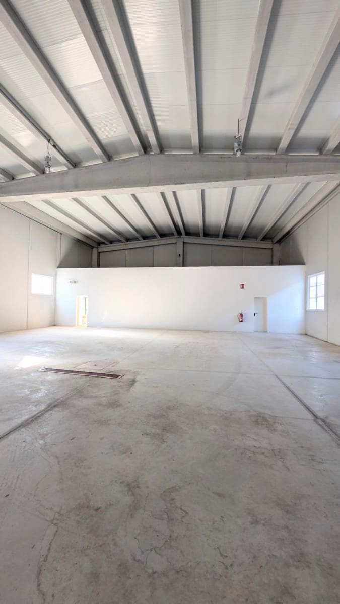 Business for sale in Crevillente / Crevillent with garage - € 546,000 (Ref: 9878854)