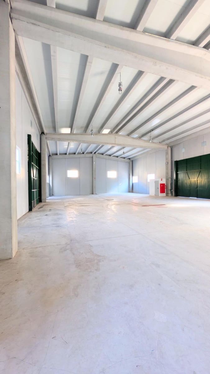 Business for sale in Crevillente / Crevillent with garage - € 546,000 (Ref: 9878854)