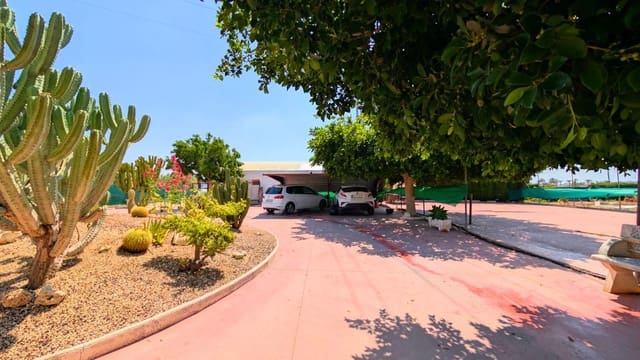 6 sypialnia Willa na sprzedaż w Elche / Elx z basenem - 580 000 € (Ref: 9892374)