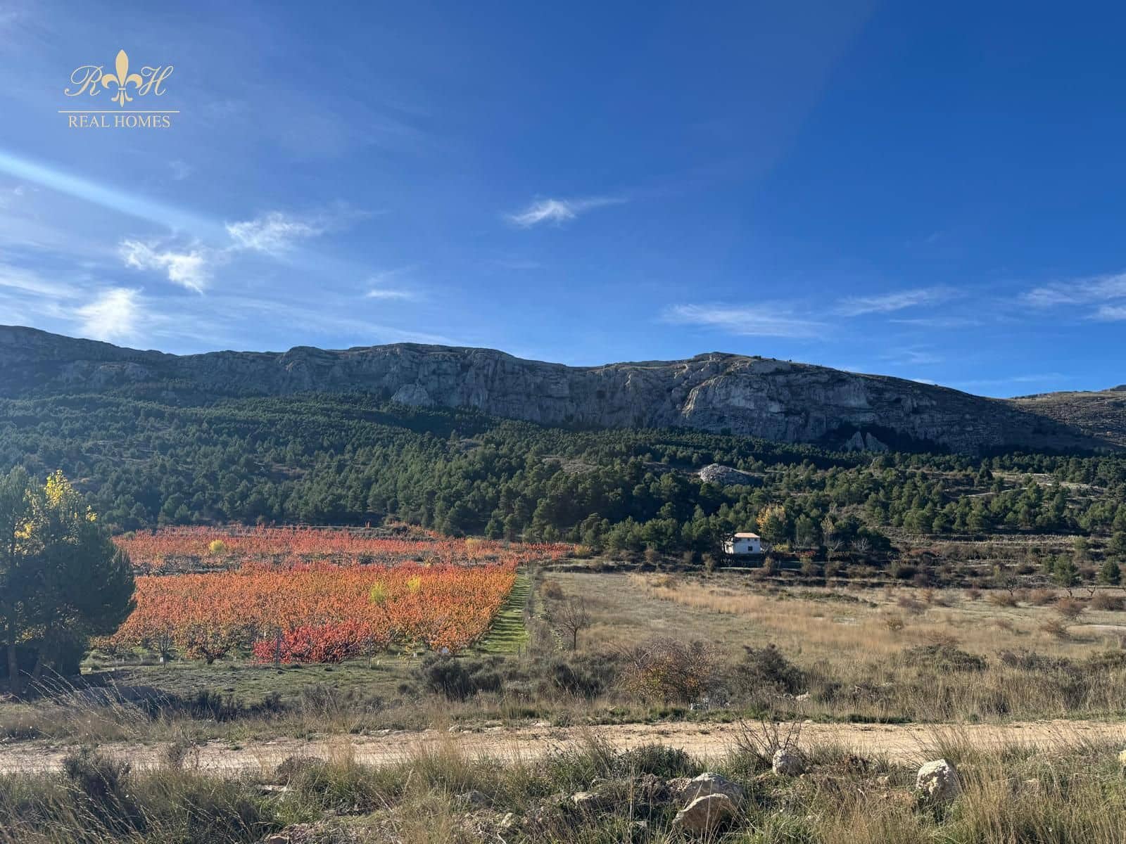 Villa til salg i Confrides - € 149.000 (Ref: 9795604)