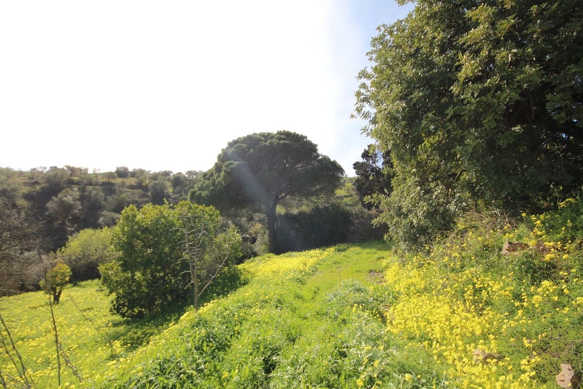 20 camera da letto Finca/Casa di Campagna in vendita in Almogia con piscina garage - 1.400.000 € (Rif: 9905243)