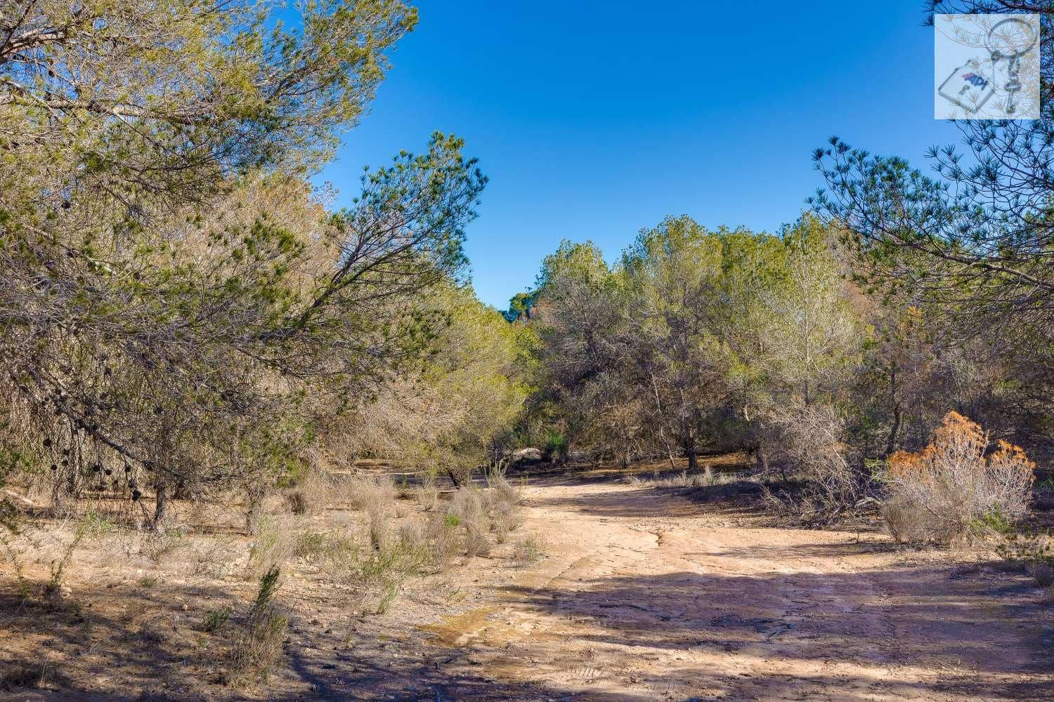 4 chambre Finca/Maison de Campagne à vendre à Torrevieja avec piscine garage - 517 000 € (Ref: 8786032)