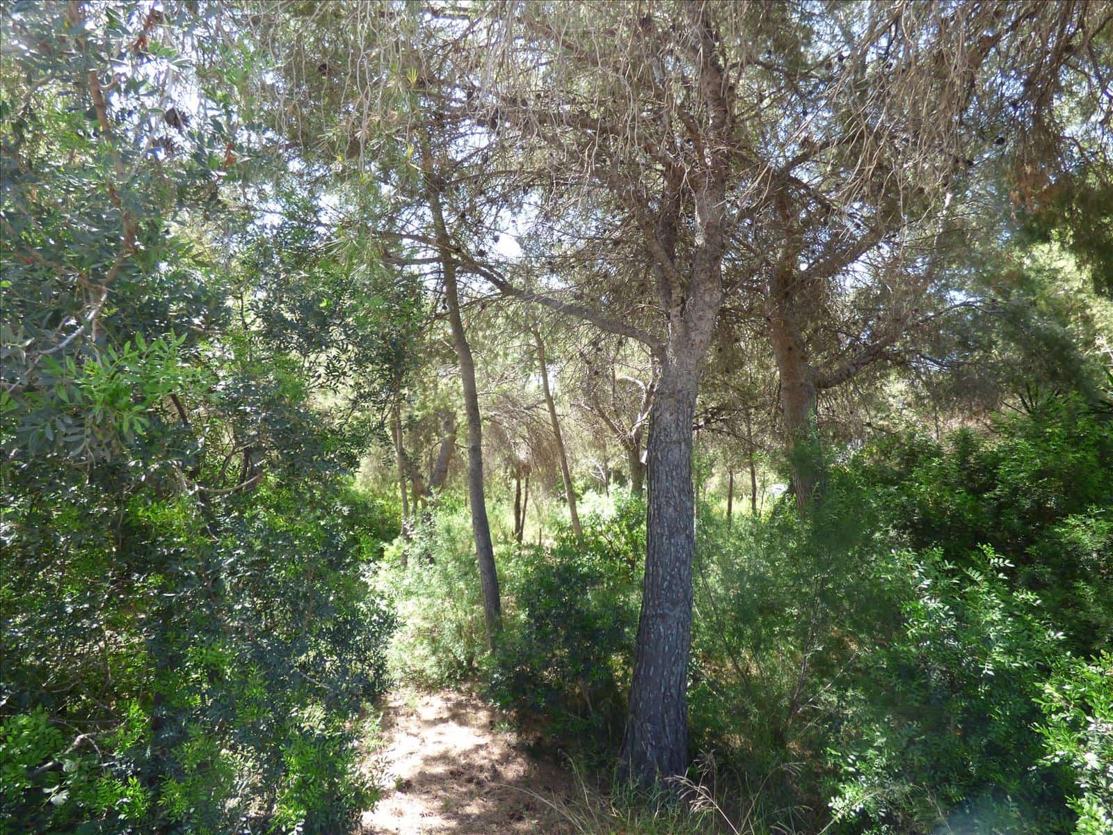 Byggegrund til salg i Benissa - € 1.300.000 (Ref: 6884754)