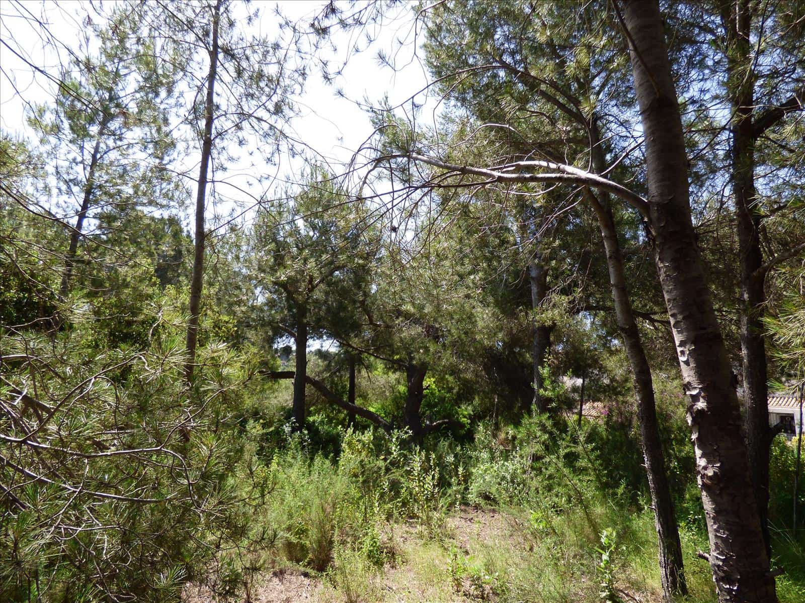 Byggegrund til salg i Benissa - € 1.300.000 (Ref: 6884754)