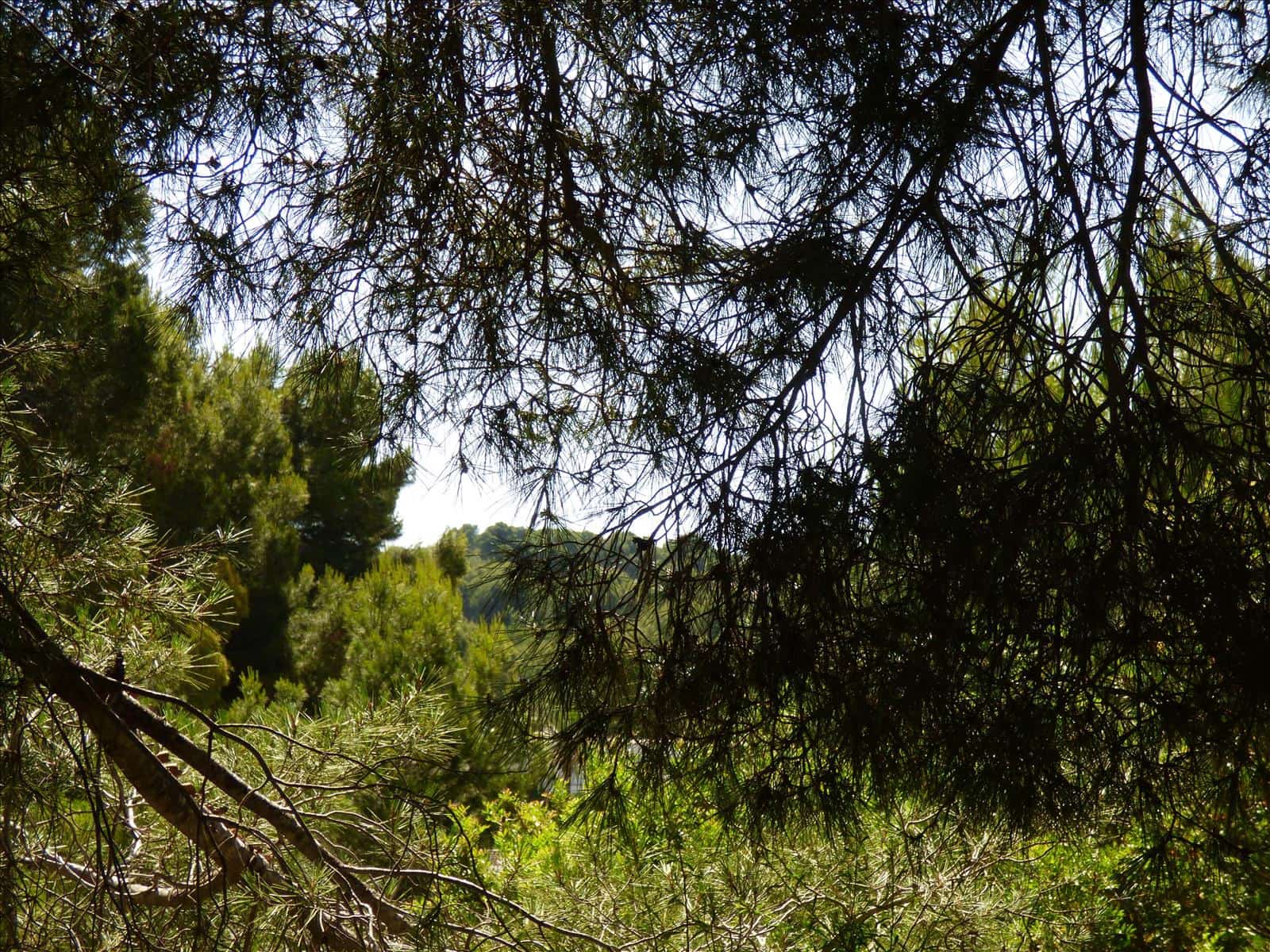 Byggegrund til salg i Benissa - € 1.300.000 (Ref: 6884754)