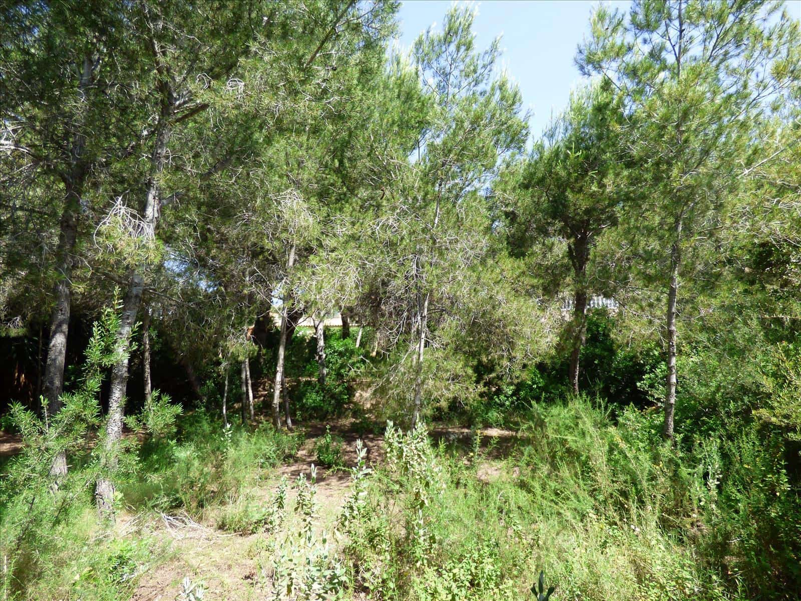 Byggegrund til salg i Benissa - € 1.300.000 (Ref: 6884754)