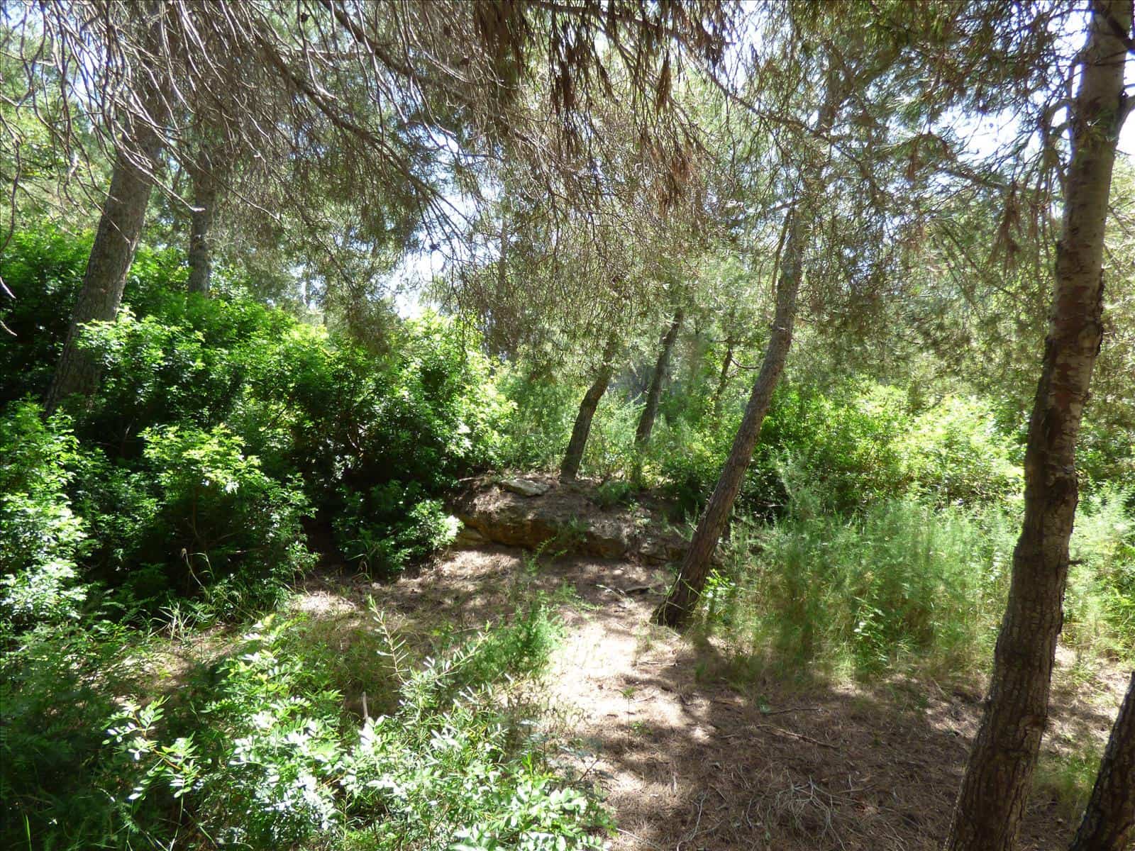 Byggegrund til salg i Benissa - € 1.300.000 (Ref: 6884754)