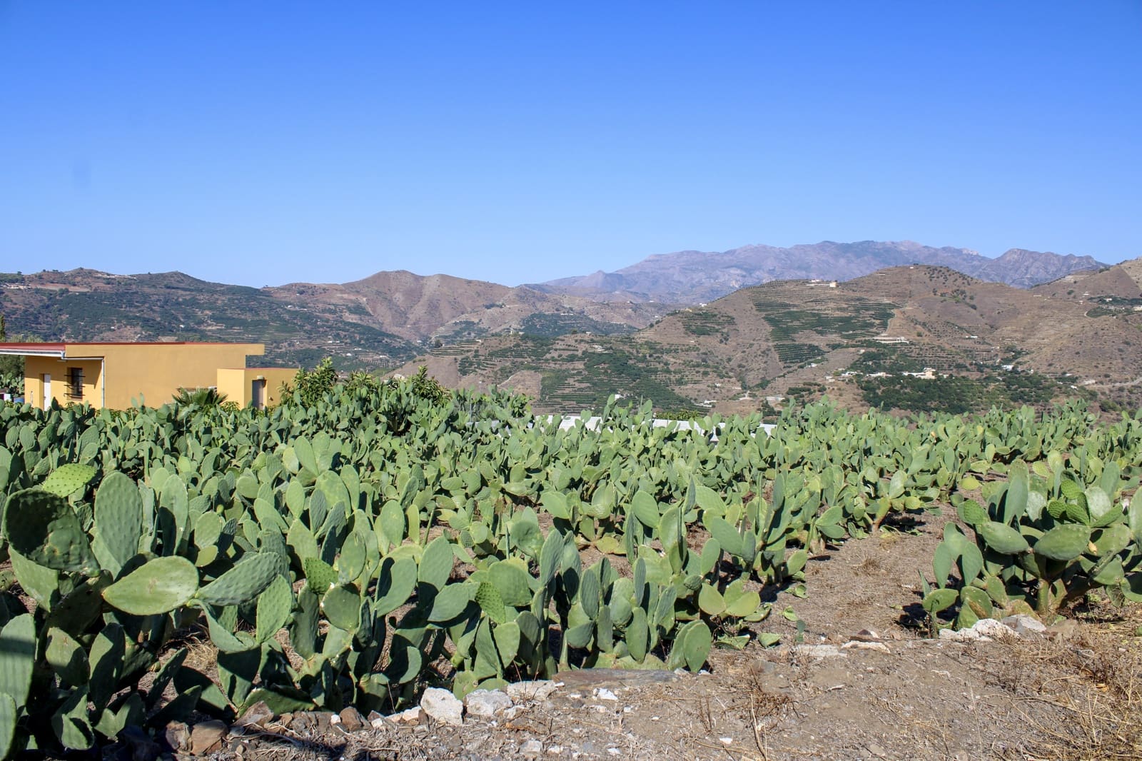 1 bedroom Finca/Country House for sale in Almunecar - € 150,000 (Ref: 10167433)