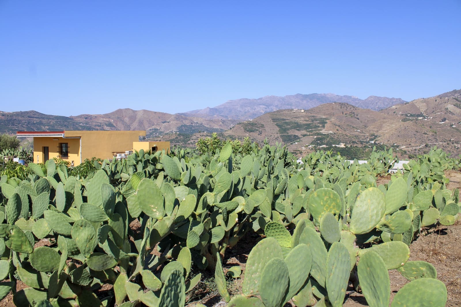 1 bedroom Finca/Country House for sale in Almunecar - € 150,000 (Ref: 10167433)