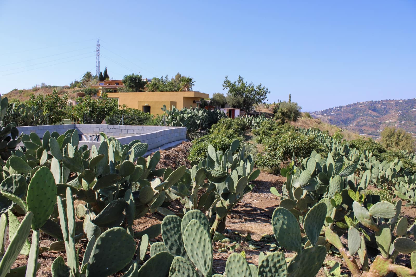 1 bedroom Finca/Country House for sale in Almunecar - € 150,000 (Ref: 10167433)