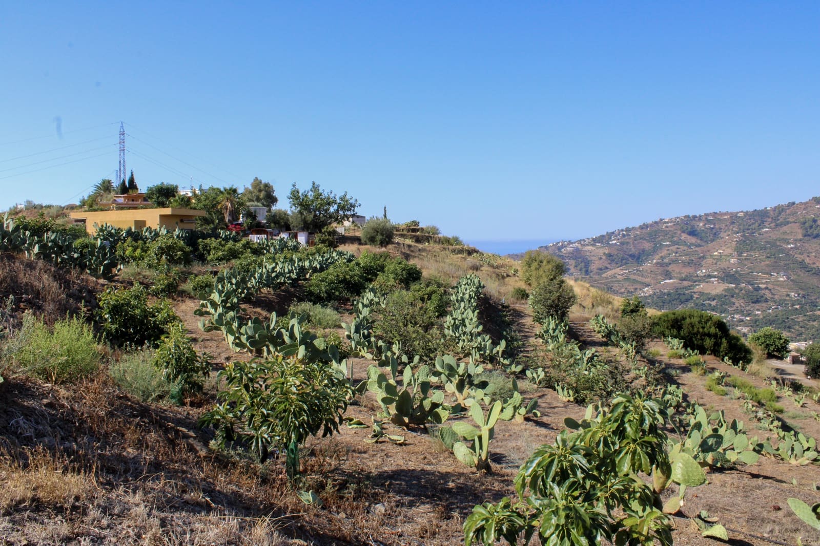 1 bedroom Finca/Country House for sale in Almunecar - € 150,000 (Ref: 10167433)
