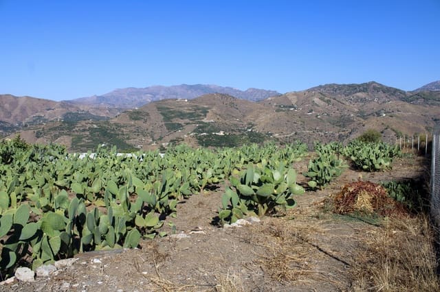 1 soveværelse Finca/Landehus til salg i Almuñécar - € 150.000 (Ref: 10167433)