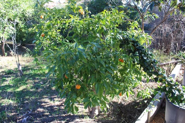 Tomt till salu i L'Eliana - 210 000 € (Ref: 3971108)