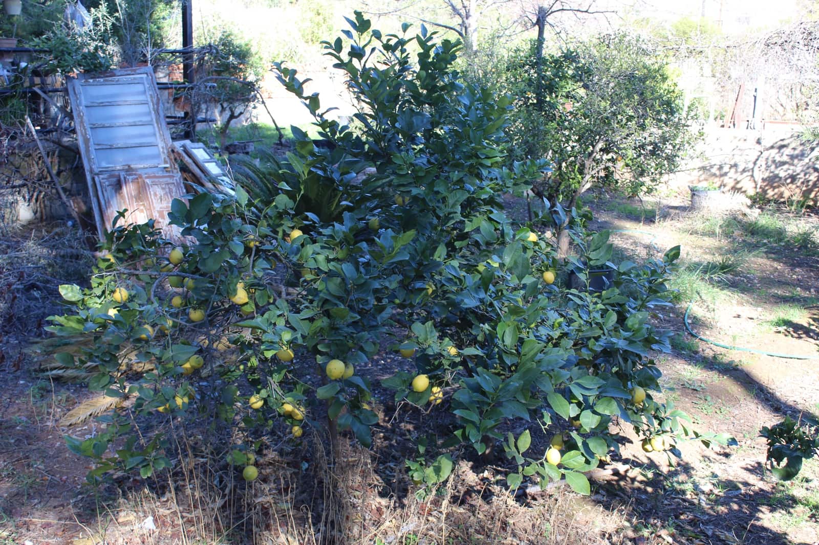 Terrain à Bâtir à vendre à L'Eliana - 210 000 € (Ref: 3971108)