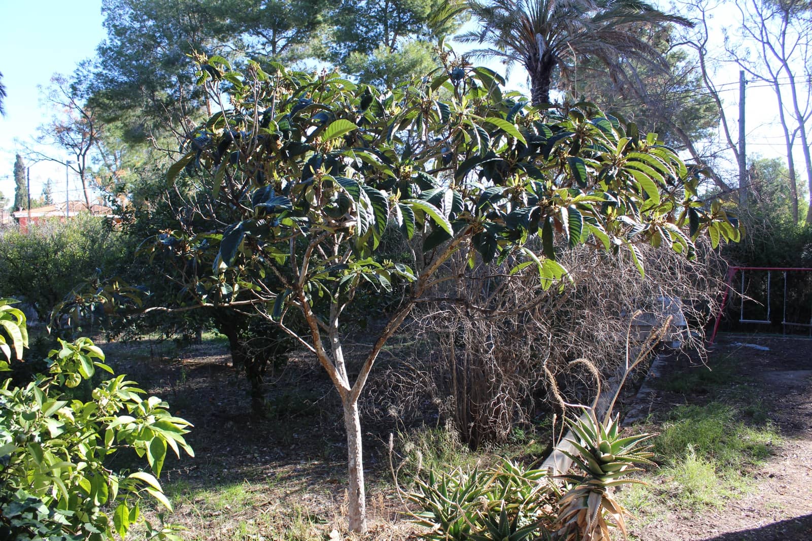 Terrain à Bâtir à vendre à L'Eliana - 210 000 € (Ref: 3971108)